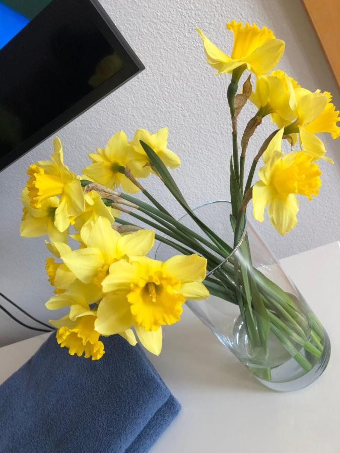 Apartman Lara Komárno 외부 사진